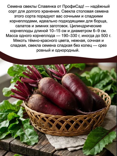 Наборы семян свеклы №2 семена 