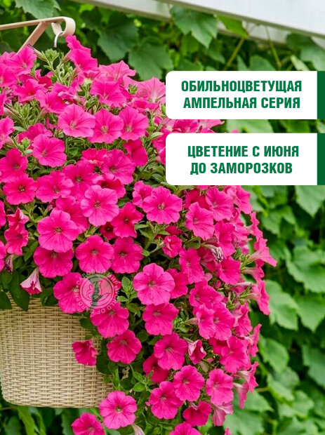 Петуния ампельная Лавина Розовая F1 семена