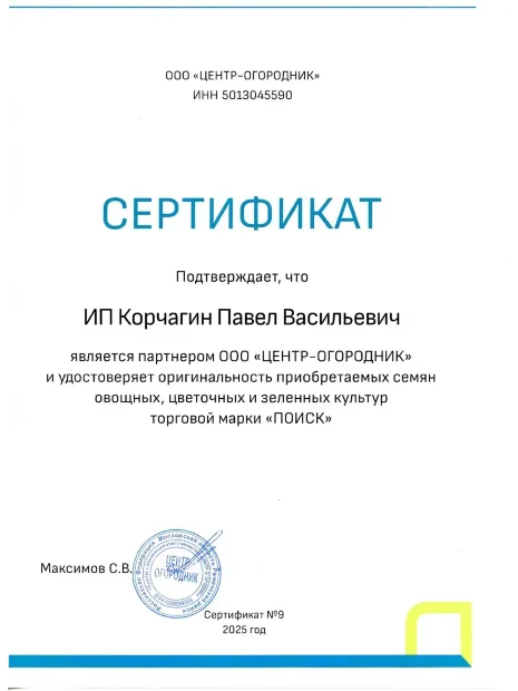 Петрушка Обыкновенная листовая семена 