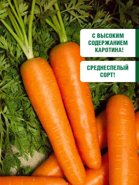 Морковь драже Лосиноостровская 13 семена 