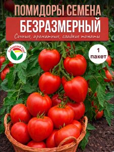 Томат Безразмерный