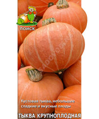 Тыква Амазонка (простые пакеты) Тыква Амазонка (простые пакеты)