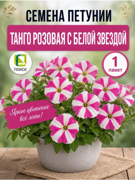 Петуния крупноцветковая Танго Розовая с белой звездой семена
