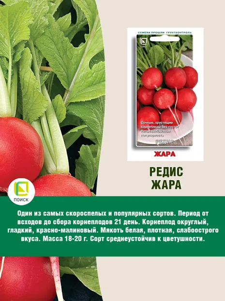 Редис Жара семена 