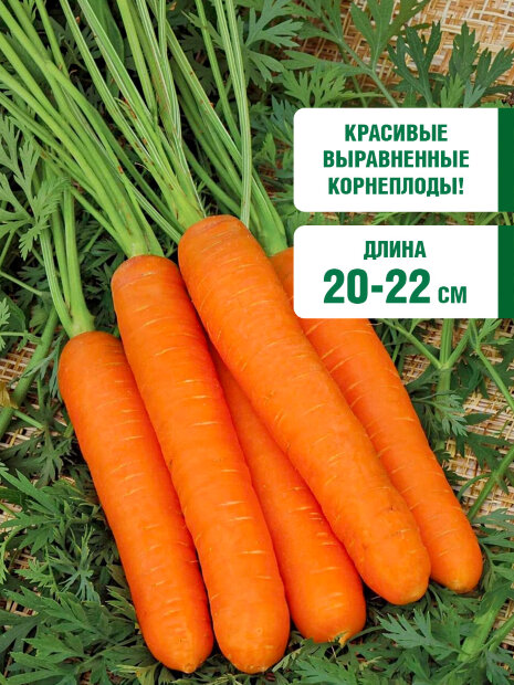 Морковь драже Самсон семена 