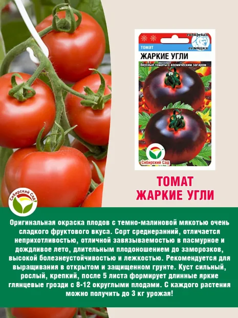 Томат Жаркие Угли семена 