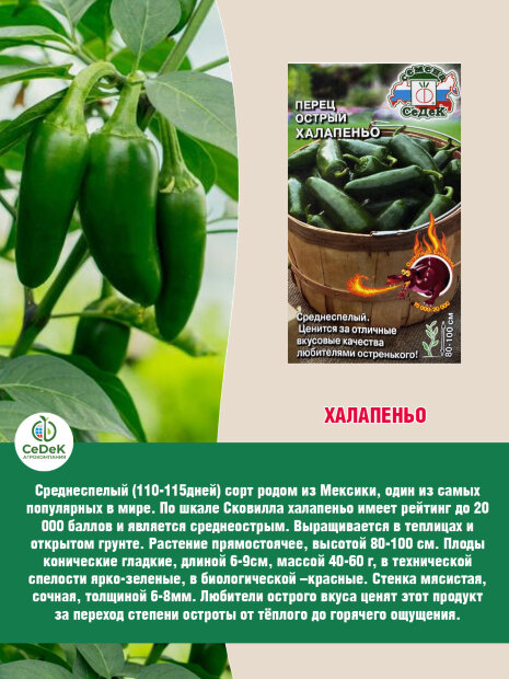 Перец острый Халапеньо семена 