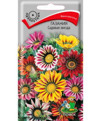 Газания Садовая звезда