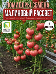 Томат Малиновый Рассвет