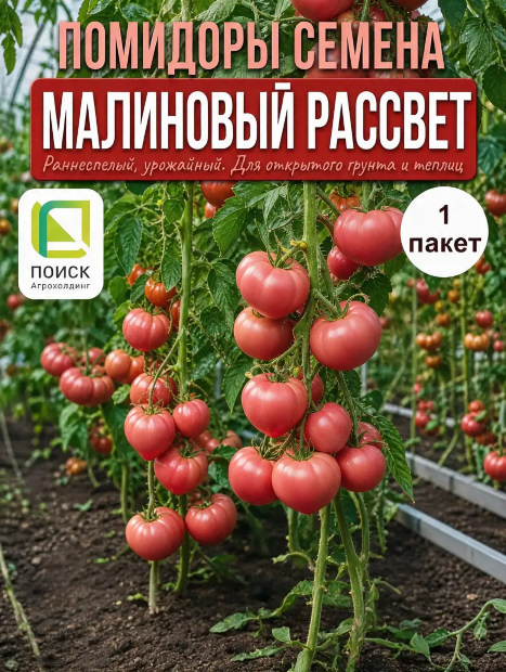 Томат Малиновый Рассвет семена 