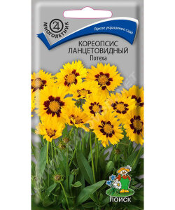 Кореопсис Потеха (ланцетовидный) Кореопсис Потеха (ланцетовидный)