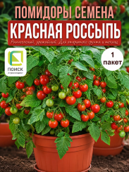 Томат Красная Россыпь Томат Красная Россыпь