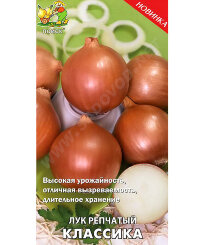 Лук репчатый Классика
