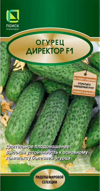Огурец Директор F1 семена 