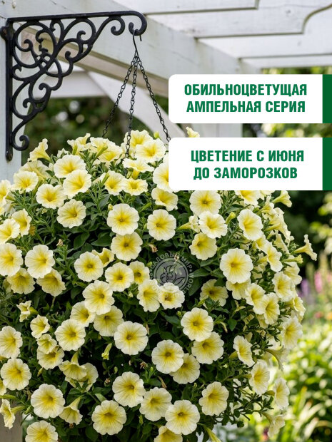 Петуния ампельная Лавина Жёлтая звезда F1 семена