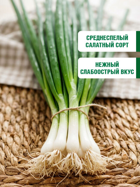 Лук батун Русский зимний семена 