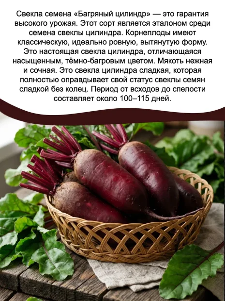 Свекла Багряный Цилиндр семена 