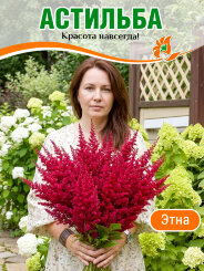 Астильба Этна Астильба Этна