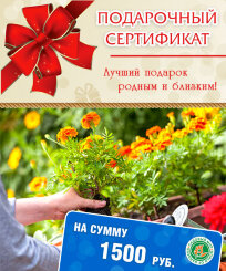 Подарочный сертификат на сумму 1500 руб