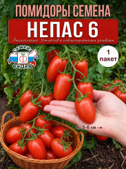 Томат Непас 6  F1 (непасынкующийся красный с носиком)