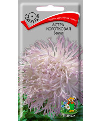 Астра коготковая Бенгал
