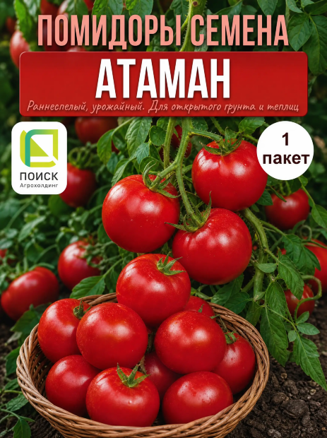 Томат Атаман семена 