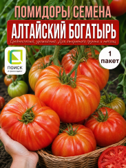 Томат Алтайский Богатырь