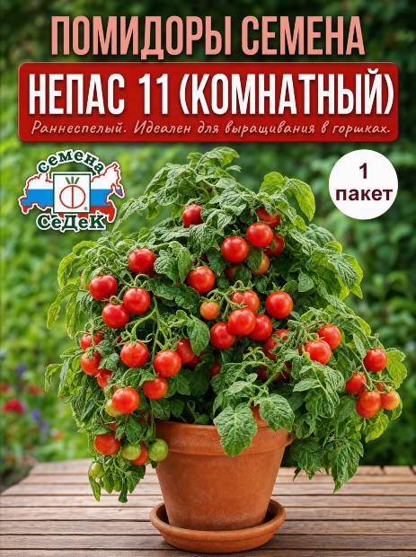 Томат Непас 11 (Непасынкующийся комнатный) семена 
