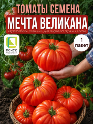 Томат Мечта Великана