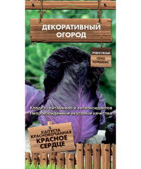 Капуста Красное сердце (краснокочанная)