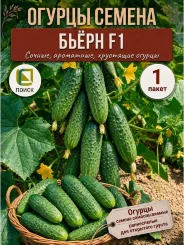 Огурец Бьерн F1