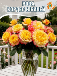 Роза Кордес Джубили Роза Кордес Джубили