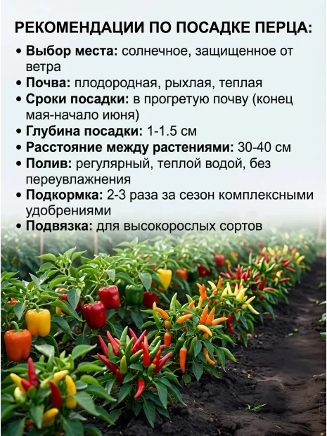 Перец сладкий Здоровяк семена 