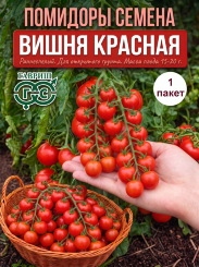 Томат Вишня красная