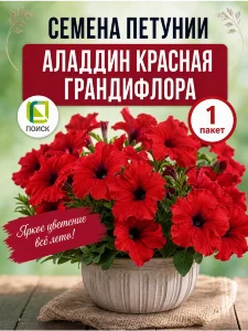 Петуния грандифлора Аладдин Красная (ПРОФИ) Петуния грандифлора Аладдин Красная (ПРОФИ)