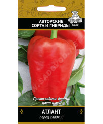 Перец сладкий Атлант