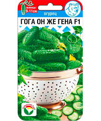 Огурец Гога он же Гена