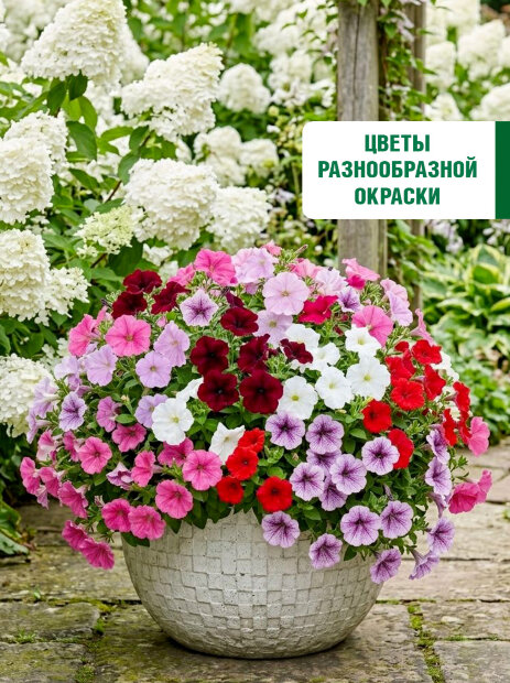 Петуния балконная Смесь окрасок семена