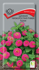 Цинния низкорослая Румба Розовая Цинния низкорослая Румба Розовая
