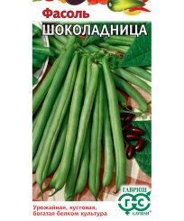 Фасоль Шоколадница