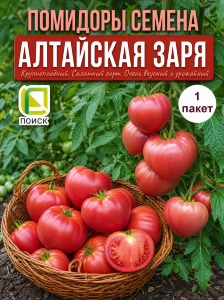Томат Алтайская Заря