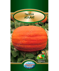 Тыква Атлант (крупноплодная)