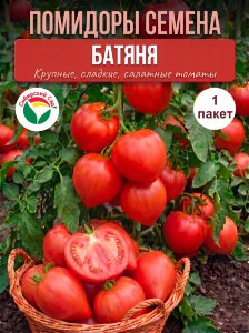 Томат Батяня