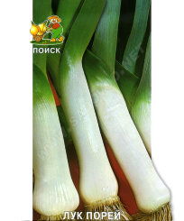 Лук порей Карантанский