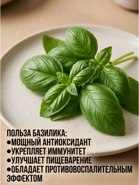 Базилик Ред Рубин семена 
