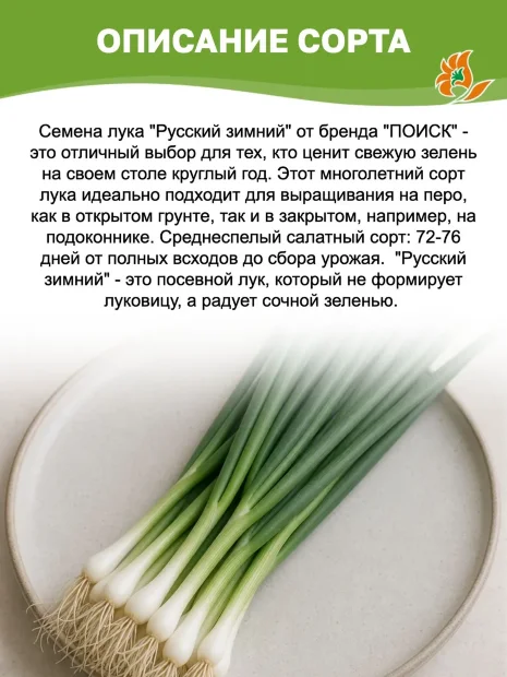 Лук шнитт Мудрец семена 
