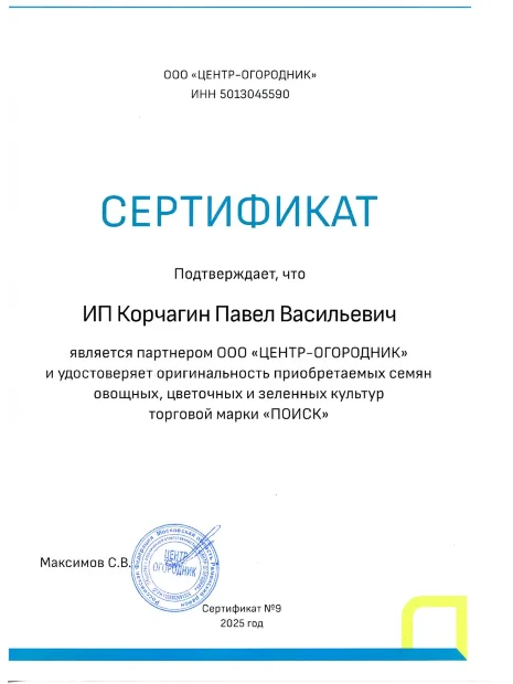 Лук шнитт Мудрец семена 