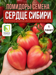 Томат Сердце Сибири