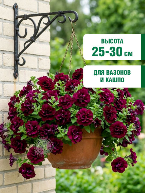 Петуния махровая многоцветковая Дуо Бургунди семена