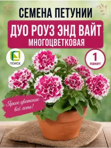 Петуния махровая многоцветковая Дуо Роуз энд Вайт Петуния махровая многоцветковая Дуо Роуз энд Вайт